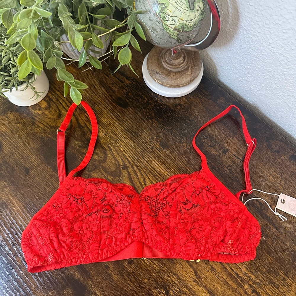 HAH Hook up Bra in Blood Orange 30-38 B